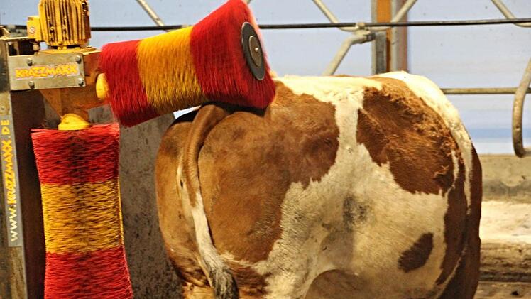 Der Wellnessbereich im Kuhstall Deringer: Massagebürsten  Foto: Helmut Will