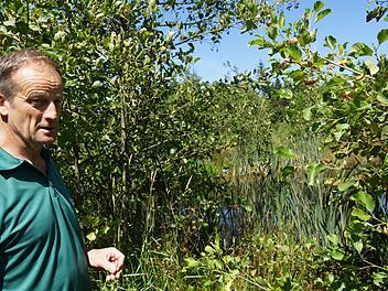 Revierleiter Arnulf Schöberl erklärt die Fauna und Flora, die sich am Ufer ansiedelt.Foto: Arkadius Guzy