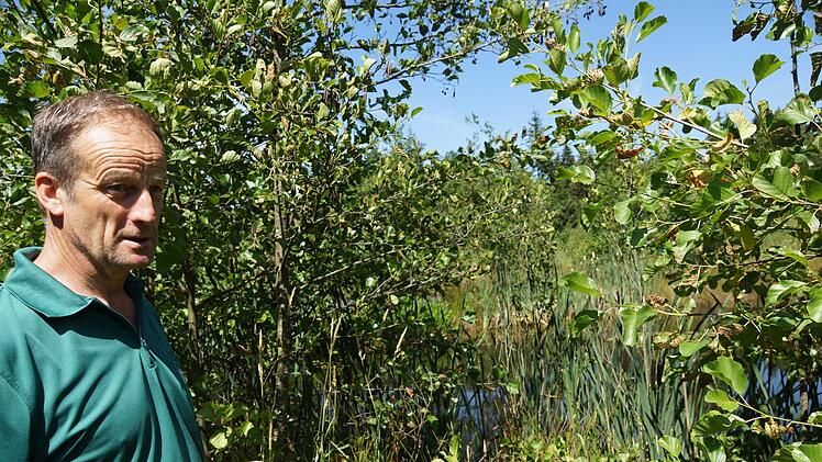 Revierleiter Arnulf Schöberl erklärt die Fauna und Flora, die sich am Ufer ansiedelt.Foto: Arkadius Guzy