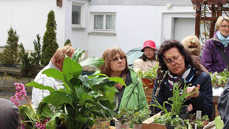 Foto: Ulrike Nauer