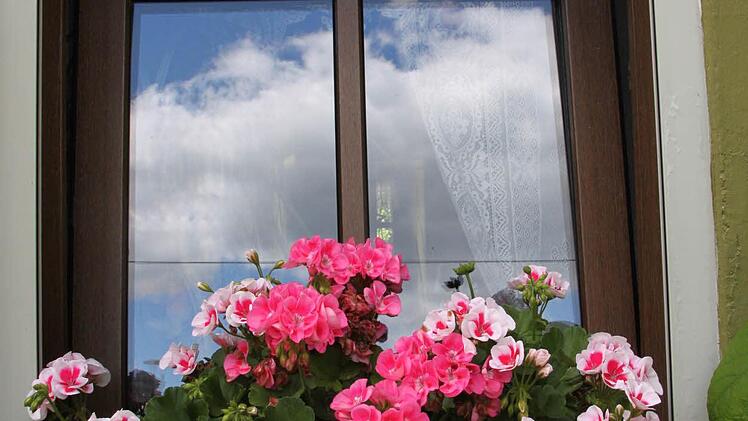 Bilder aus teilnehmenden Gärten Foto: Jürgen Gärtner