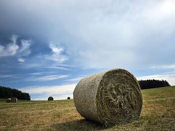 Heuballen auf einer Wiese