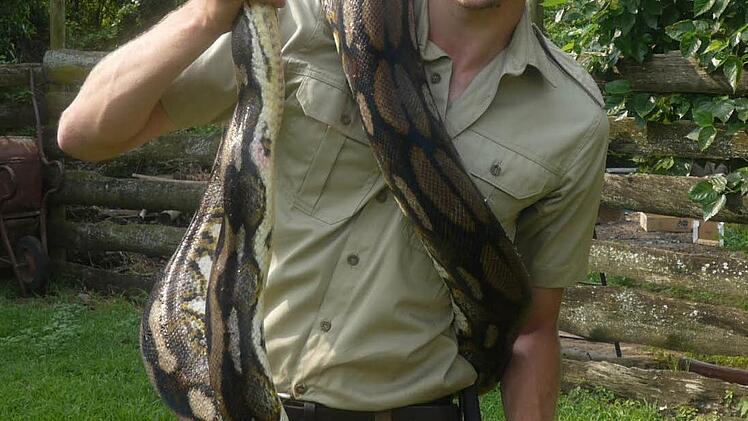 Der Unterrodacher mit einer 25 Kilogramm schweren Python.