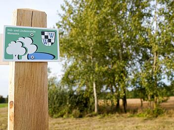 Zwei wei&szlig;e B&auml;ume auf gr&uuml;nem Grund f&uuml;hren den Wanderer auf der "H&uuml;l- und Lindenrunde Wonsees" von Sanspareil aus &uuml;ber die D&ouml;rfer Klein- und Gro&szlig;enh&uuml;l.