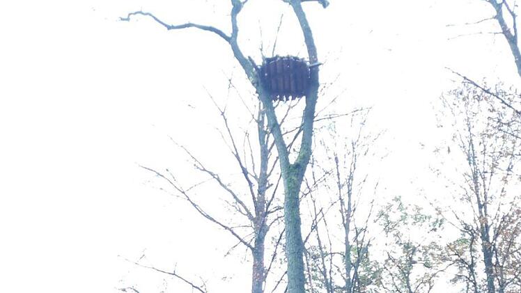 In einer Höhe von bis zu 30 Metern hängen die Kunsthorste.  Foto: Manuel Lind