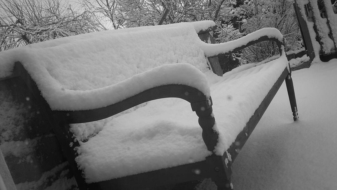 Schnee und Eis - Die schönsten Aufnahmen aus Franken