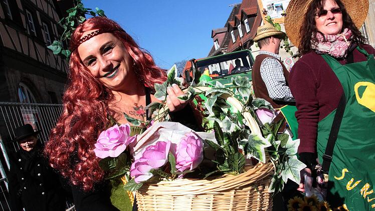 Faschingszug Forchheim Foto: Josef Hofbauer