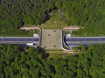 Blick von oben auf die Grünbrücke Neuwirtshauser Forst: Sie überspannt die A7 nördlich der Anschlussstelle Oberthulba. Foto: Hajo Dietz