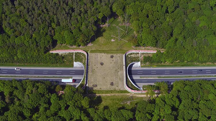 Blick von oben auf die Grünbrücke Neuwirtshauser Forst: Sie überspannt die A7 nördlich der Anschlussstelle Oberthulba. Foto: Hajo Dietz