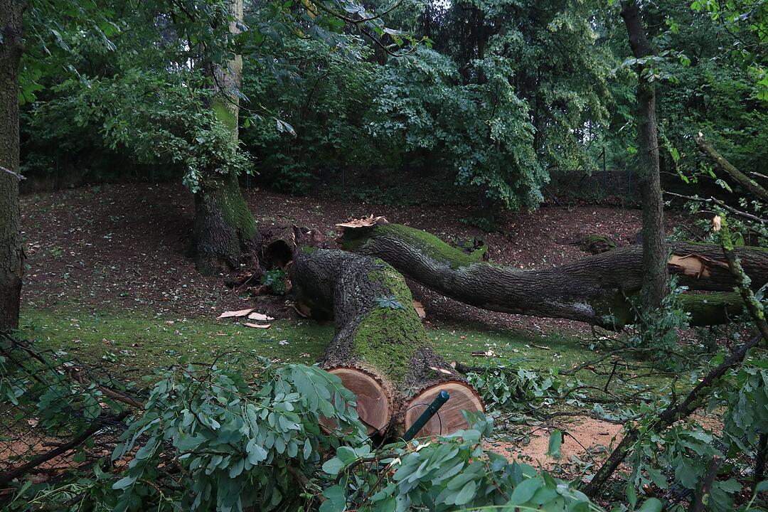 Bamberg: Unwetter hinterlassen massive Schäden