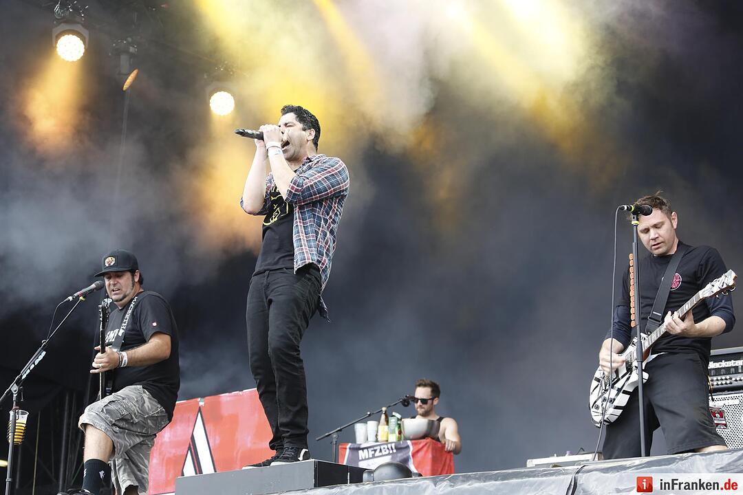 RIP15 - Zebrahead