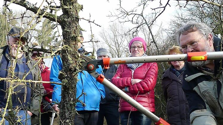 Frühling ist Baumschnittzeit: Gartenbesitzer lernen von Kreisfachberater Friedhelm Haun, wie's richtig gemacht wird.Dagmar Besand