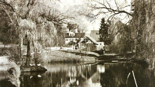 Der untere Fischweiher um 1950, im Hintergrund das GutshofgebäudeArchiv