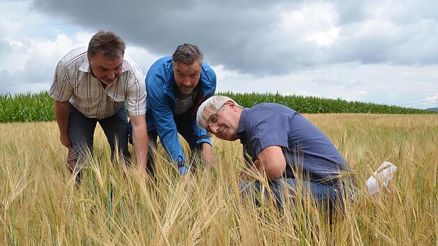 Wolfgang Schulthei&szlig;, J&uuml;rgen Heymann und Hans Rebelein begutachten Zwiewuchs und Bodenrisse in einem Feld mit Wintergerste bei Gro&szlig;garnstadt.Rainer Lutz