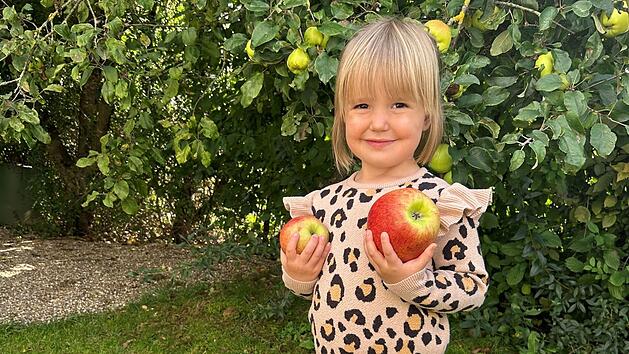 Burgebrach: Familie findet faszinierenden Apfel - "unglaublich"