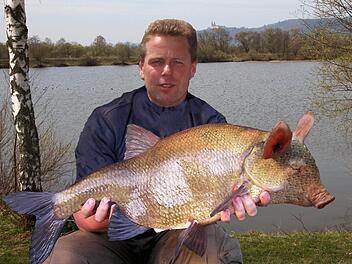 Ein Exemplar der überaus seltenen Rüsselbrachse ging Werner Fischer am Wörthsee an den Haken. Foto: Klaus Gagel