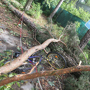 Aufraeumarbeiten in Bamberg nach schwerem Unwetter