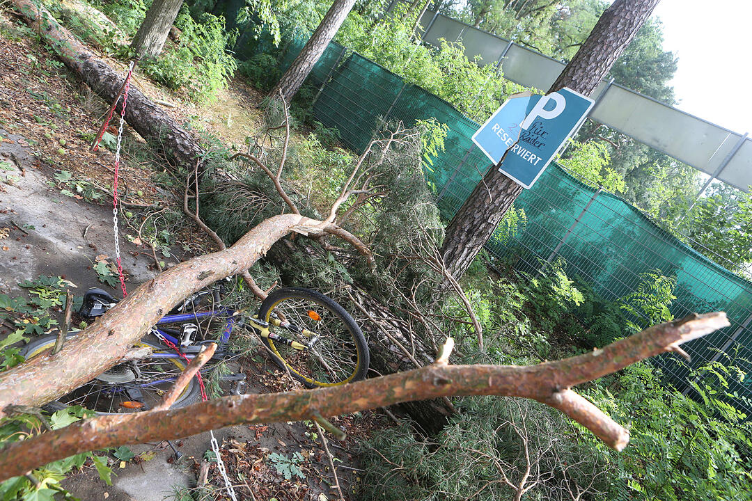 Aufraeumarbeiten in Bamberg nach schwerem Unwetter