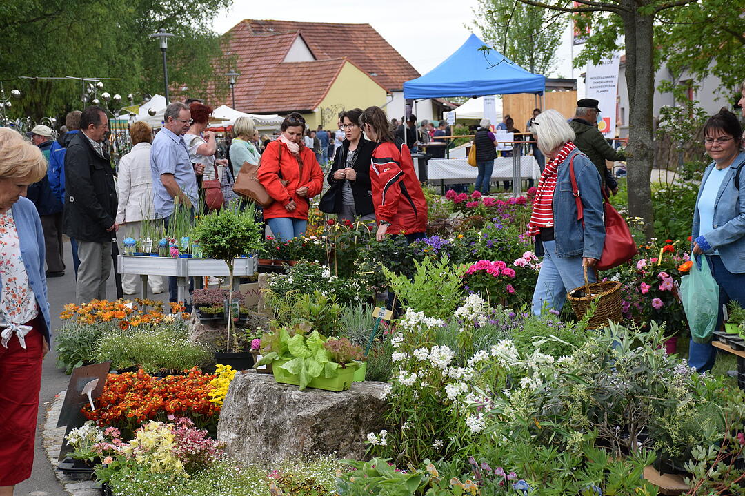 R&ouml;delseer Fr&uuml;hling