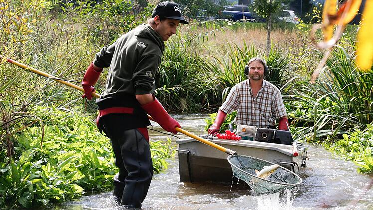 Simon Abt (links) und Kay Kuhlen, Mitarbeiter der Fachberatung für Fischerei des Bezirks Oberfranken, am Montag beim Abfischen. Der Erba-Fischpass ist nicht nur Lebensraum, sondern auch Wanderungskorridor   Fotos: Matthias Hoch