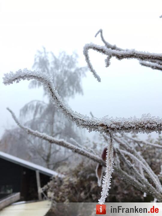 Eis und Schnee in Franken - die schönsten Winterleserfotos
