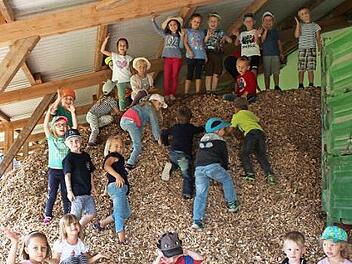 Hackschnitzel eignen sich nicht nur als Energielieferant, sondern auch ganz prima als Kletterberg. Foto: privat