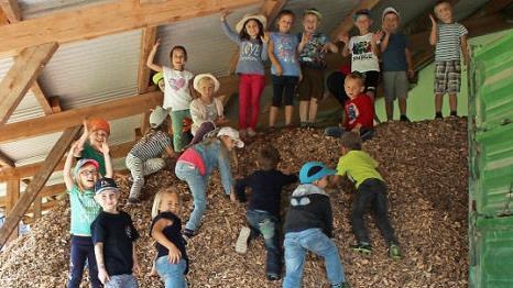 Hackschnitzel eignen sich nicht nur als Energielieferant, sondern auch ganz prima als Kletterberg. Foto: privat