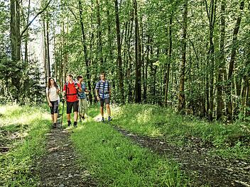 2020 findet die BR-Wanderwoche in der fränkischen Urlaubsregion Coburg.Rennsteig statt. Foto: Rainer Brabec