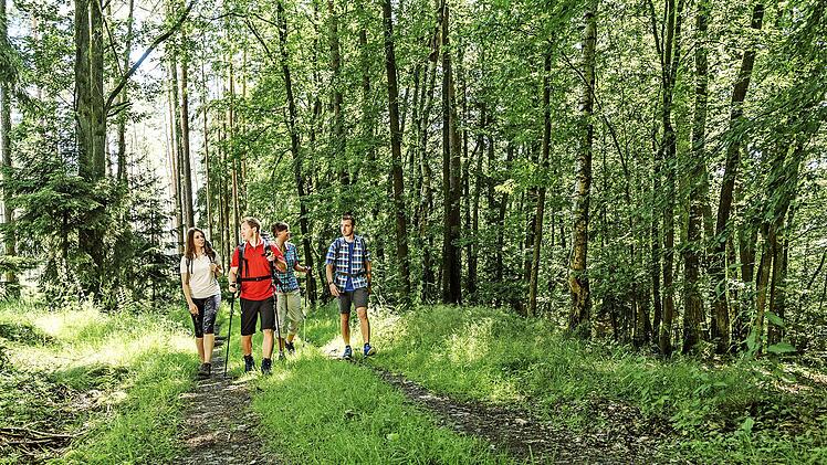 2020 findet die BR-Wanderwoche in der fränkischen Urlaubsregion Coburg.Rennsteig statt. Foto: Rainer Brabec