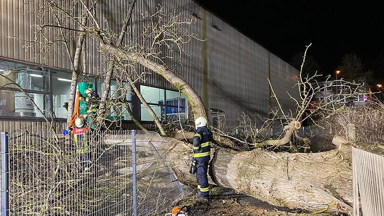Dieser massive Baum fiel auf eine Halle der Firma Töpfer.