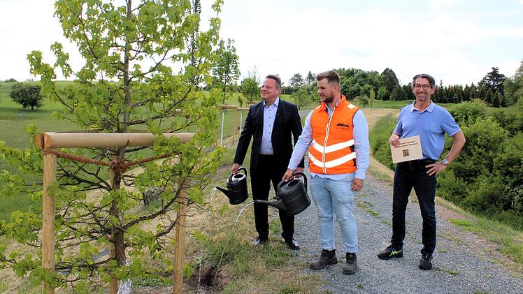 Kulmbach pflanzt 16 neue Bäume - "Zeichen für nachhaltige Zukunft"
