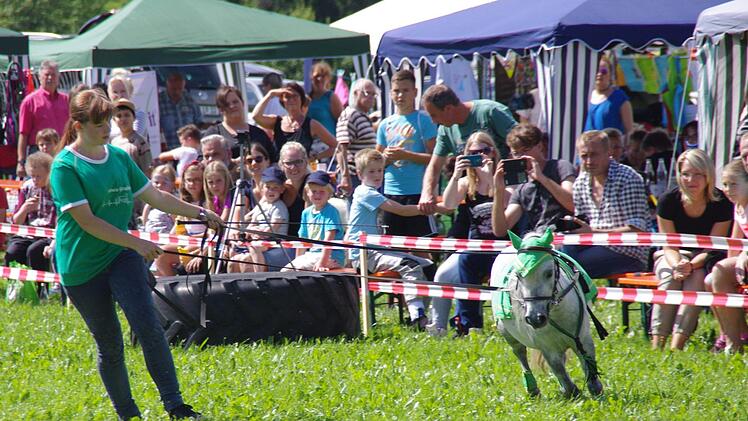 Tierheimfest in Kronach. Foto: Marco Meißner