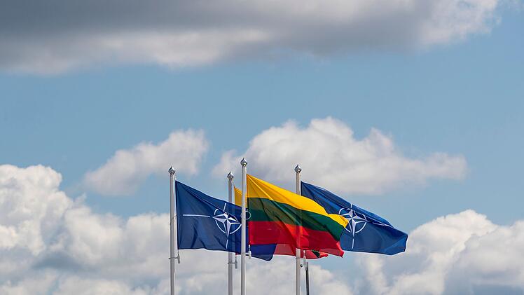 Litauische Flagge