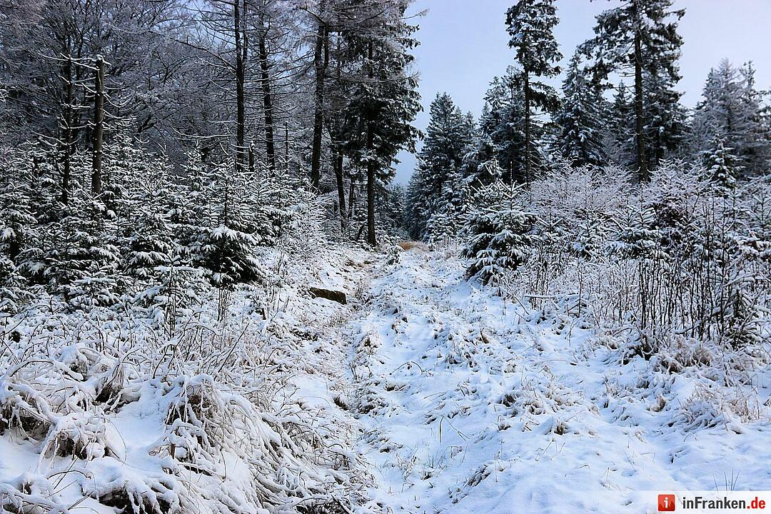 Schnee im Fichtelgebirge