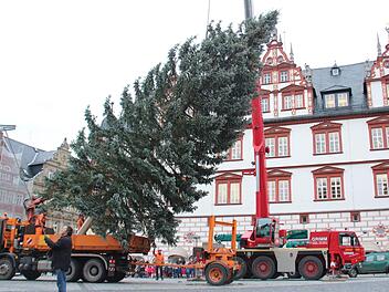Mit einem Kran wurde der Baum in die ihm zugesehene Stelle gehievt. Foto: Niklas Schmitt
