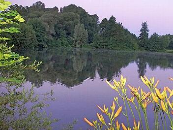 Für treue Stammgäste des Ebensfelder Badesees mitunter lohnen könnte sich die nun vom Gremium beschlossene Möglichkeit des Erwerbs einer Saison-Dauerparkkarte zum Preis von 40 Euro.
