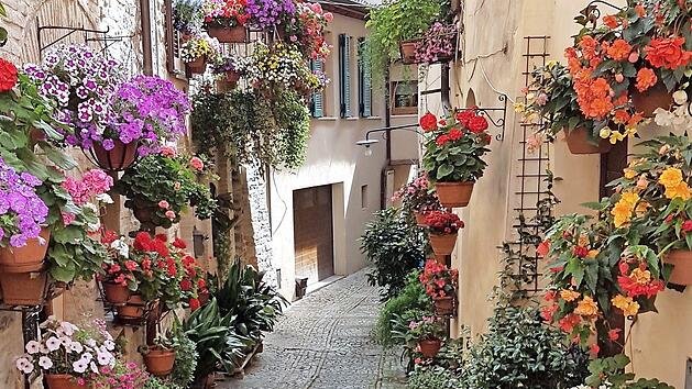 Blick in eine der geschmückten Gassen der Blumenstadt Spello  Foto: gg