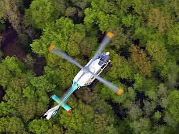 Eine Spazierg&auml;ngerin fand in einem Waldst&uuml;ck in Rothenburg eine Tasche. Die Polizei geht von einer vermissten Person aus und startete am Mittwoch eine gro&szlig;e Vermisstensuche. Symbolfoto:Ronald Rinklef
