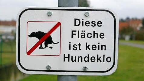Unmissverständlicher Hinweis. Die Hundehalter suchen sich in Kitzingen halt  andere Ecken.