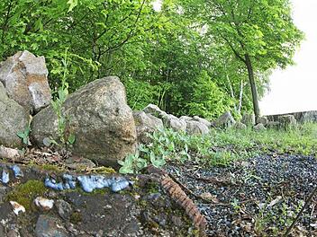Die Pfosten der ehemaligen Einfahrt wurden auf Höhe des Fundaments abgeschweißt. Hier am oberen Ende des Steinbruchs fuhren die Lkws der Firma Hofmann bis 1976 an den Steinbruch heran und kippten Galvanikschlämme ab. Fotos: Tim Birkner