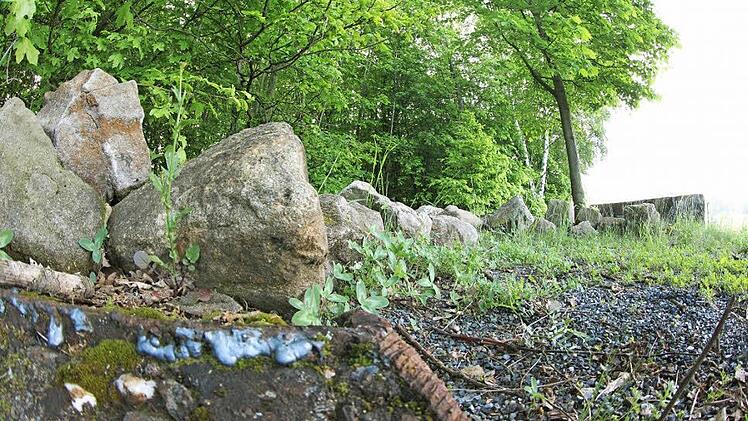 Die Pfosten der ehemaligen Einfahrt wurden auf Höhe des Fundaments abgeschweißt. Hier am oberen Ende des Steinbruchs fuhren die Lkws der Firma Hofmann bis 1976 an den Steinbruch heran und kippten Galvanikschlämme ab. Fotos: Tim Birkner