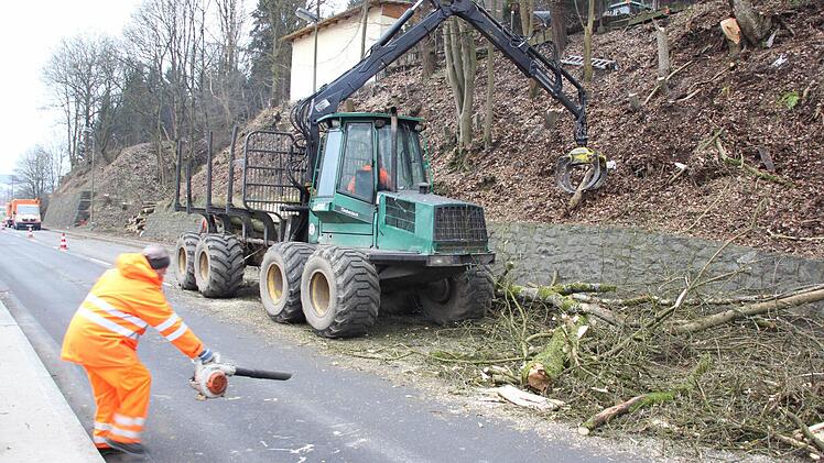 Mit Laubbläsern wurde Astmaterial von der Fahrbahn geblasen.  Foto: Friedwald Schedel
