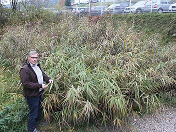 Thomas Eidloth erklärt die Funktion der Pflanzenkläranlage. Foto: Veronika Schadeck