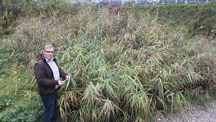 Thomas Eidloth erklärt die Funktion der Pflanzenkläranlage. Foto: Veronika Schadeck