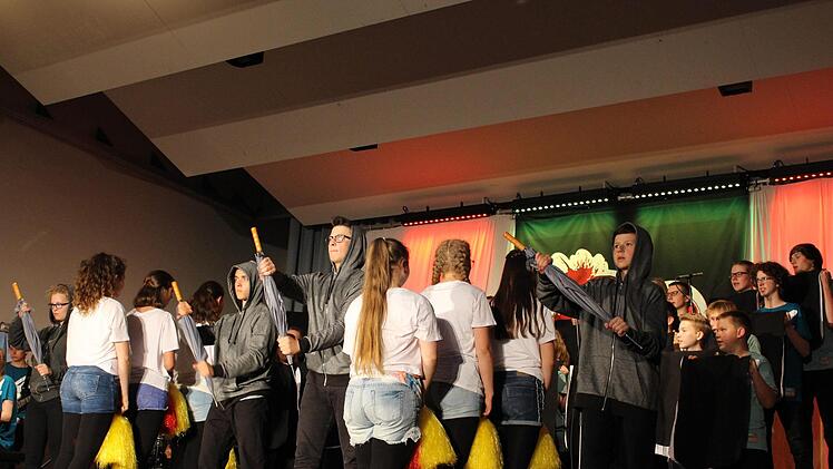 Was die Darsteller im Musical "Herzschlag" in der Ebrachtalhalle Wachenroth auf die Bühne brachte, hat das Publikum überzeugt.  Evi Seeger