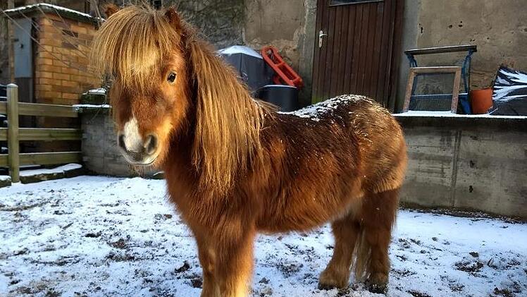 Steinwiesen. Foto: Ali Geuther