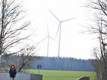 Auf diesem Gelände südlich der A3 (im Vordergrund) sollen vor den sich schon drehenden Lonnerstadter Windrädern noch zwei auf Wachenrother Gebiet und eines im Staatsforst dazu kommen.  Foto: Andreas Dorsch