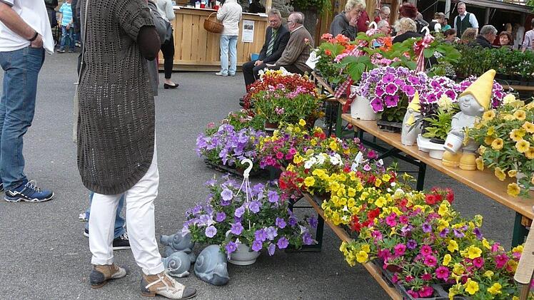 Vom Geranienmarkt mit vielen Blumen zum "Meedertag". Foto: Karin G&uuml;nther