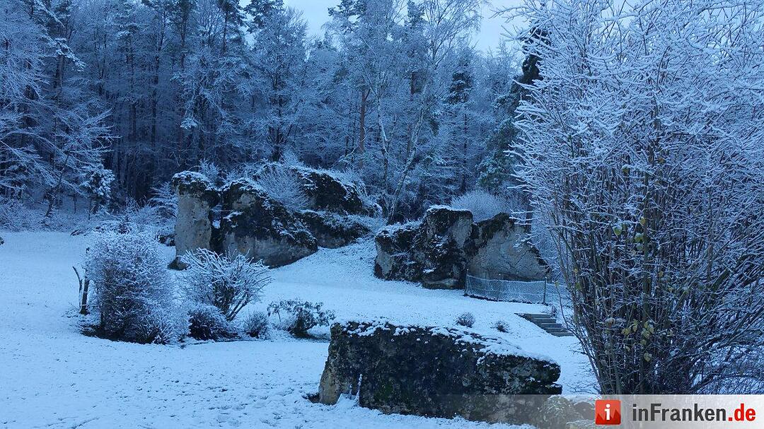 Garten Raum Forchheim Foto: inFrankenPix Jeani-Bini