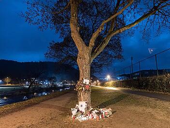 Grablichter an einem Baum neben der Dreisam in Freiburg erinnern an die Studentin, die dort vergewaltigt und getötet wurde. Foto: Patrick Seeger, dpa